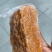 【今日推荐】海胆肉对接全国可视频看货欢迎下单咨询