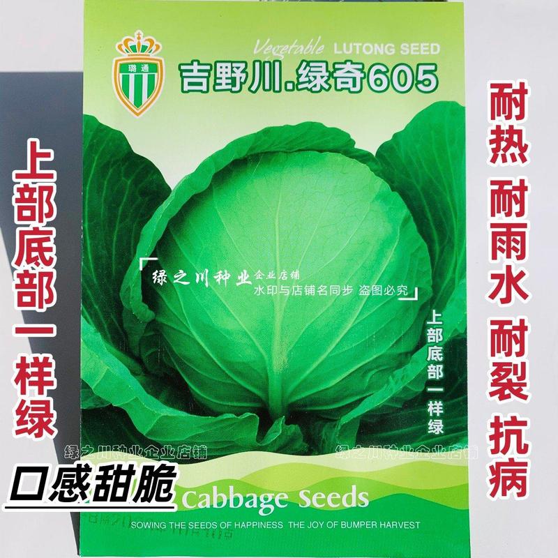 三季甘蓝种子圆包菜种子吉野川绿奇605甘兰种子耐热耐裂