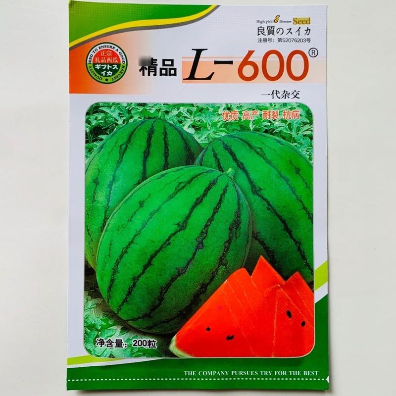 L600西瓜种子正品原装一代杂交小型西瓜种籽礼品西瓜种子
