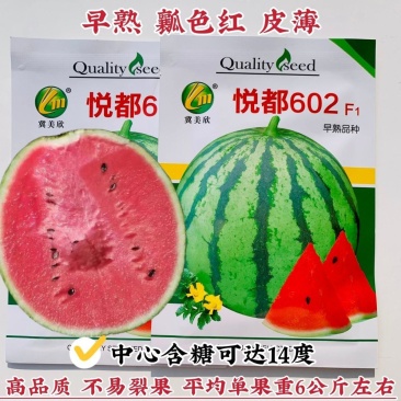 悦都602F1西瓜种子皮薄早熟品种瓤色红糖度高圆球型西瓜
