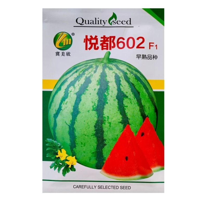 悦都602F1西瓜种子皮薄早熟品种瓤色红糖度高圆球型西瓜