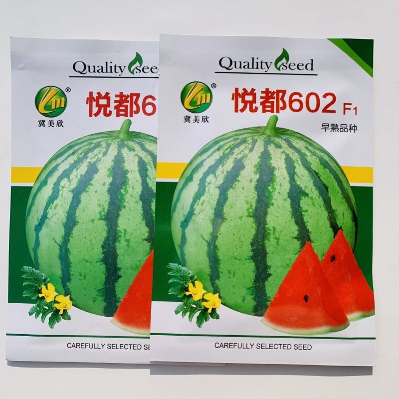 悦都602F1西瓜种子皮薄早熟品种瓤色红糖度高圆球型西瓜