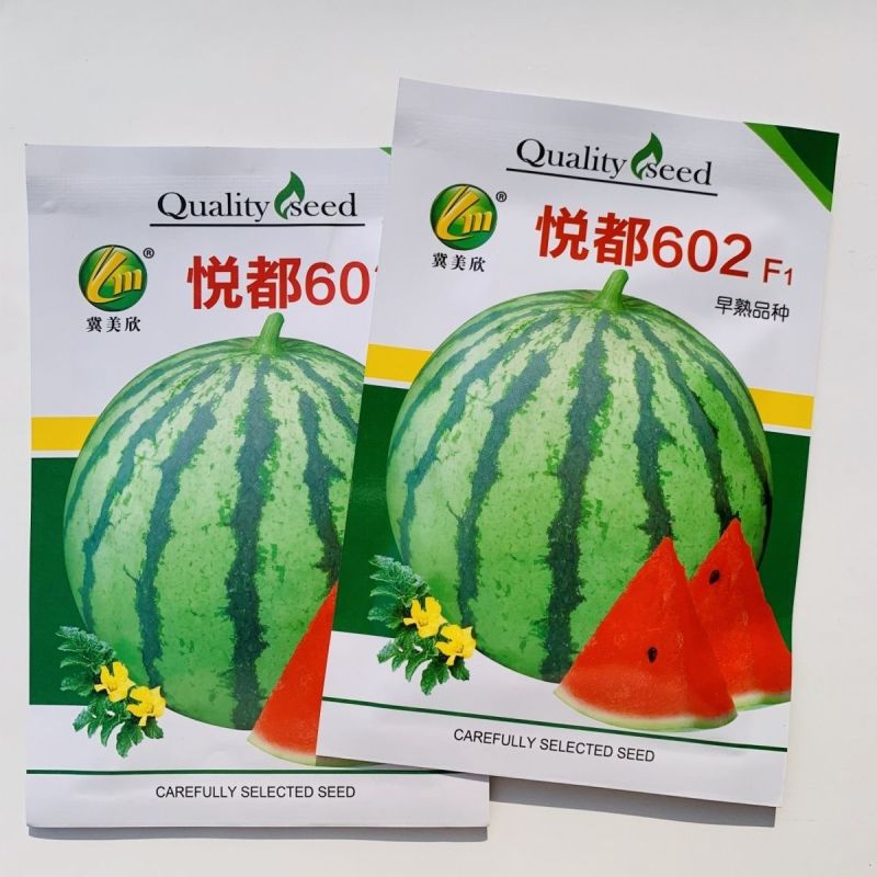 悦都602F1西瓜种子皮薄早熟品种瓤色红糖度高圆球型西瓜