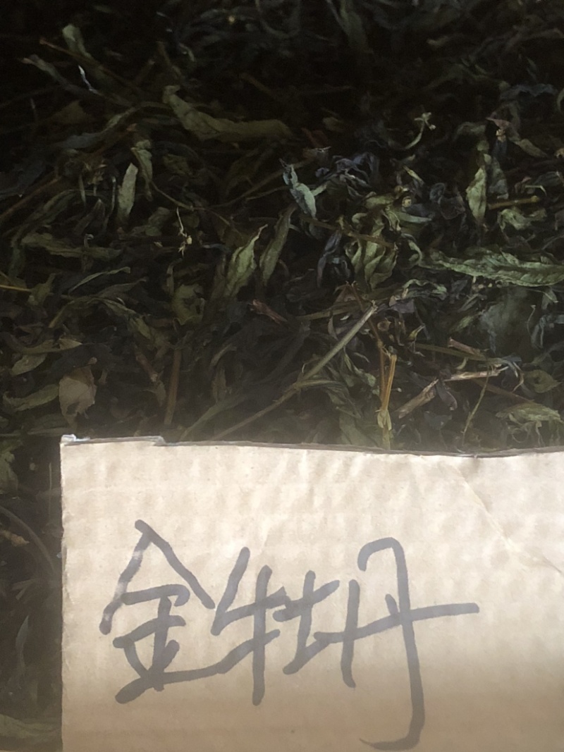 福建武夷山岩茶大红袍：水仙：肉桂：红茶：正山小种