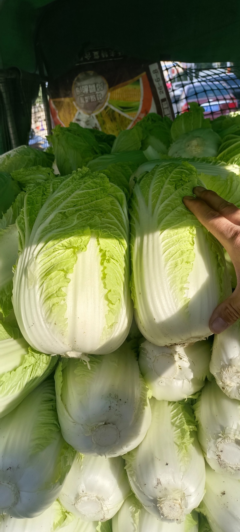 大娃