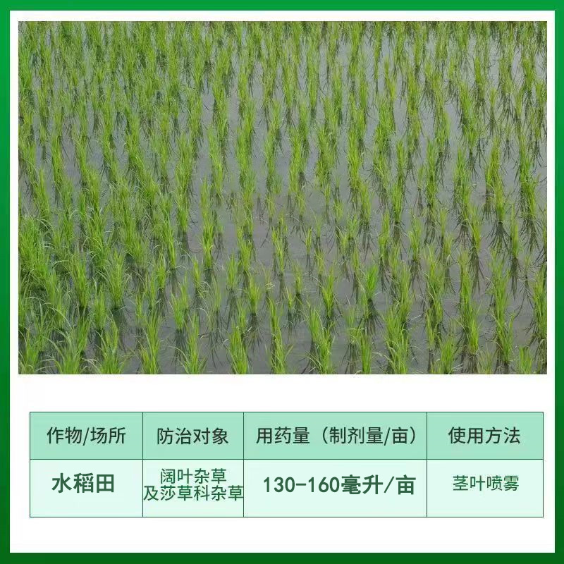 46%二甲灭草松2甲灭草松水稻除草剂水葱顶头珠莎草除草剂