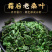 桑叶茶正品特级新鲜霜后桑叶干桑葚叶搭配枸杞桑葚干胎菊泡茶