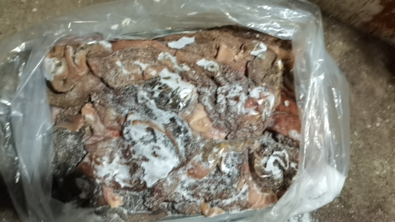 大羊黑肚