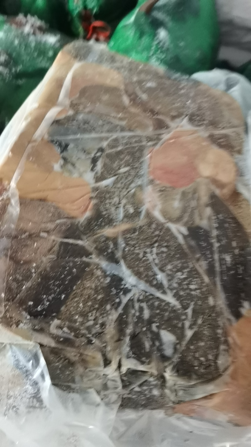 大羊黑肚