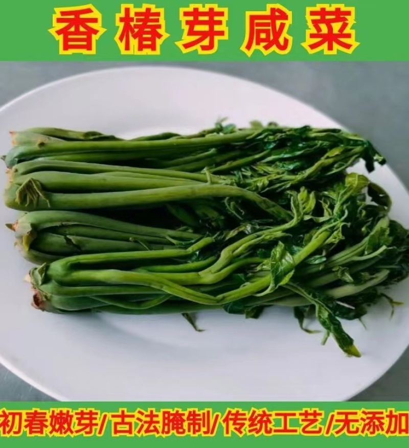 【泡菜】2024年香椿咸菜