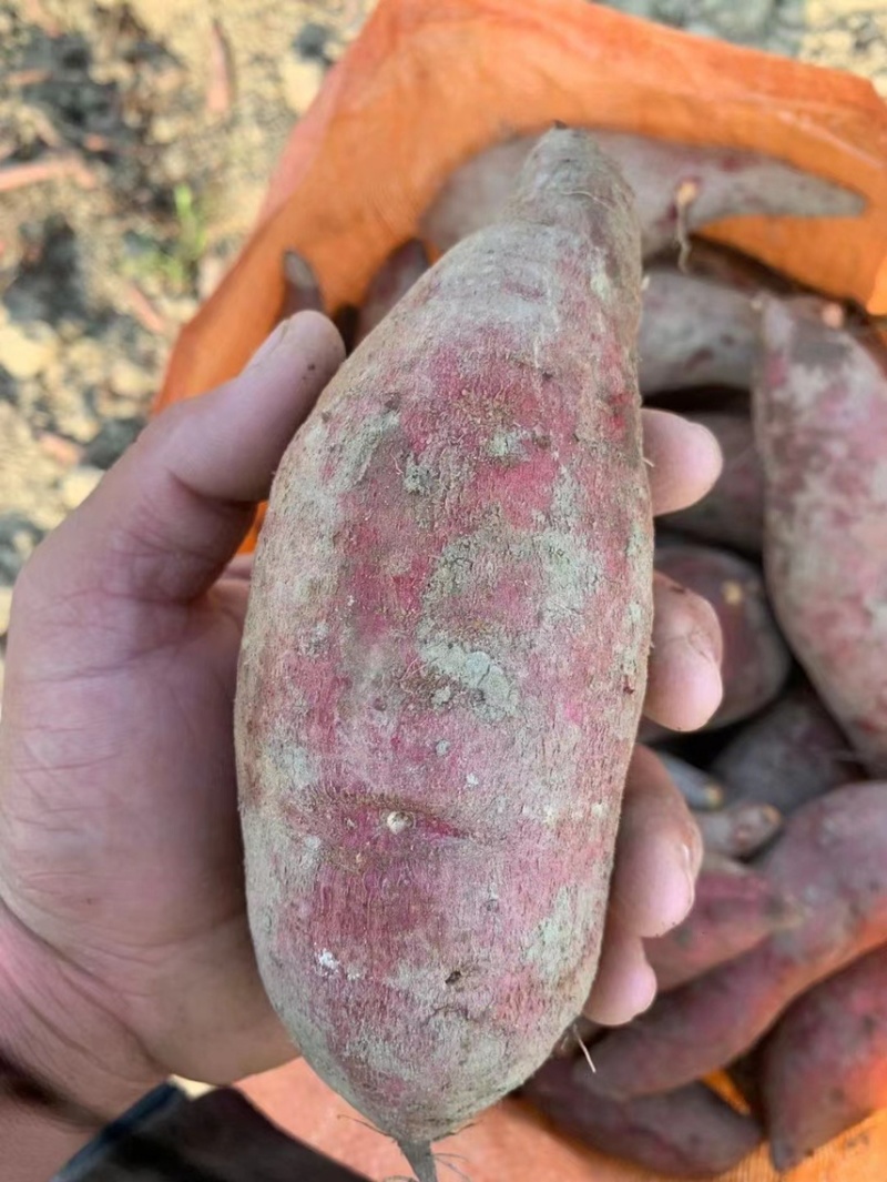大量出售工厂货3两起的有需要的可以来联系我