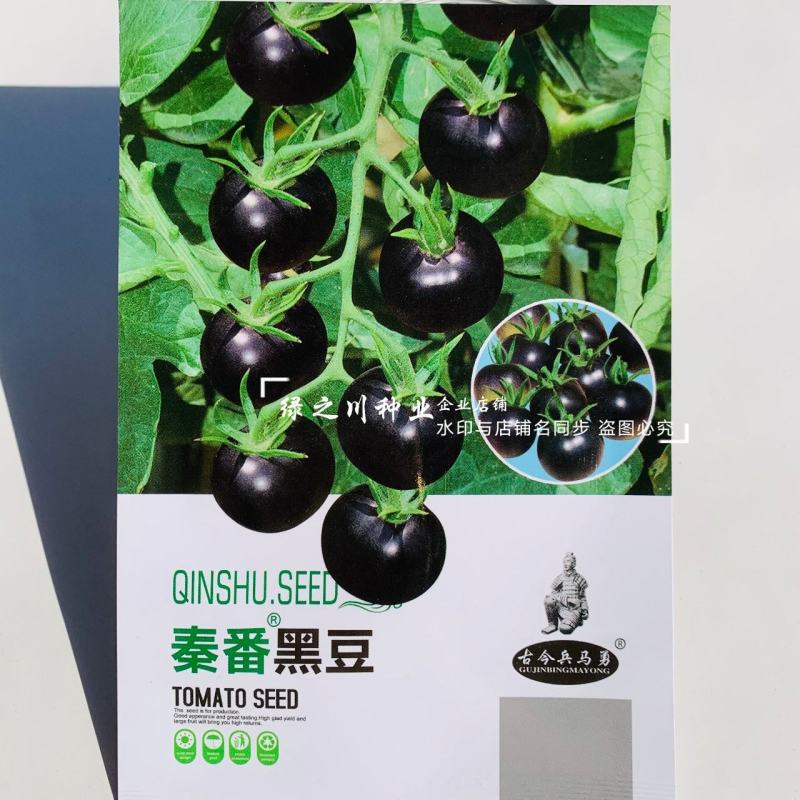 黑豆樱桃番茄种子无限生长型黑紫色小番茄种子水果番茄种子