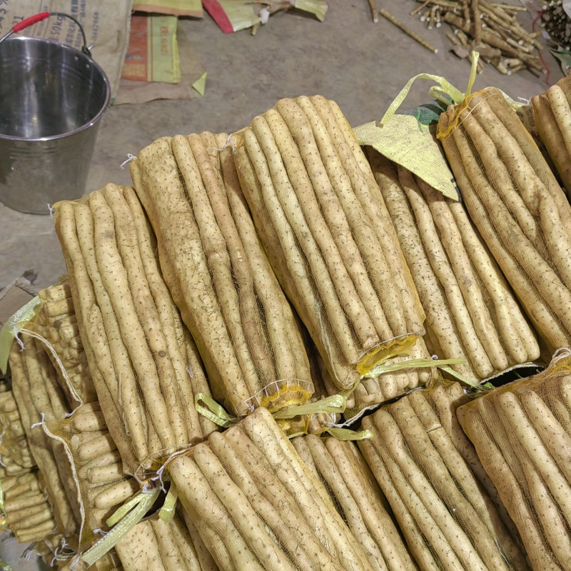 小白嘴山药