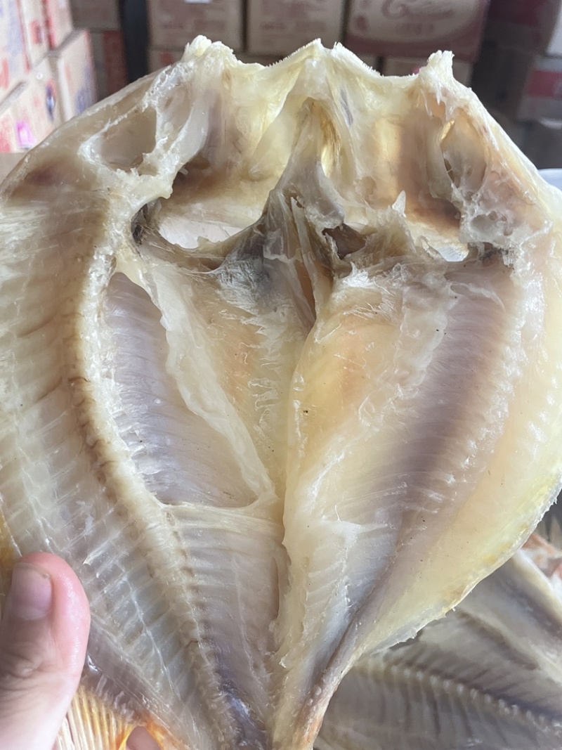 红腊鱼展会地摊电商开边红腊鱼红鱼鲈鱼干鱼片鱼条干