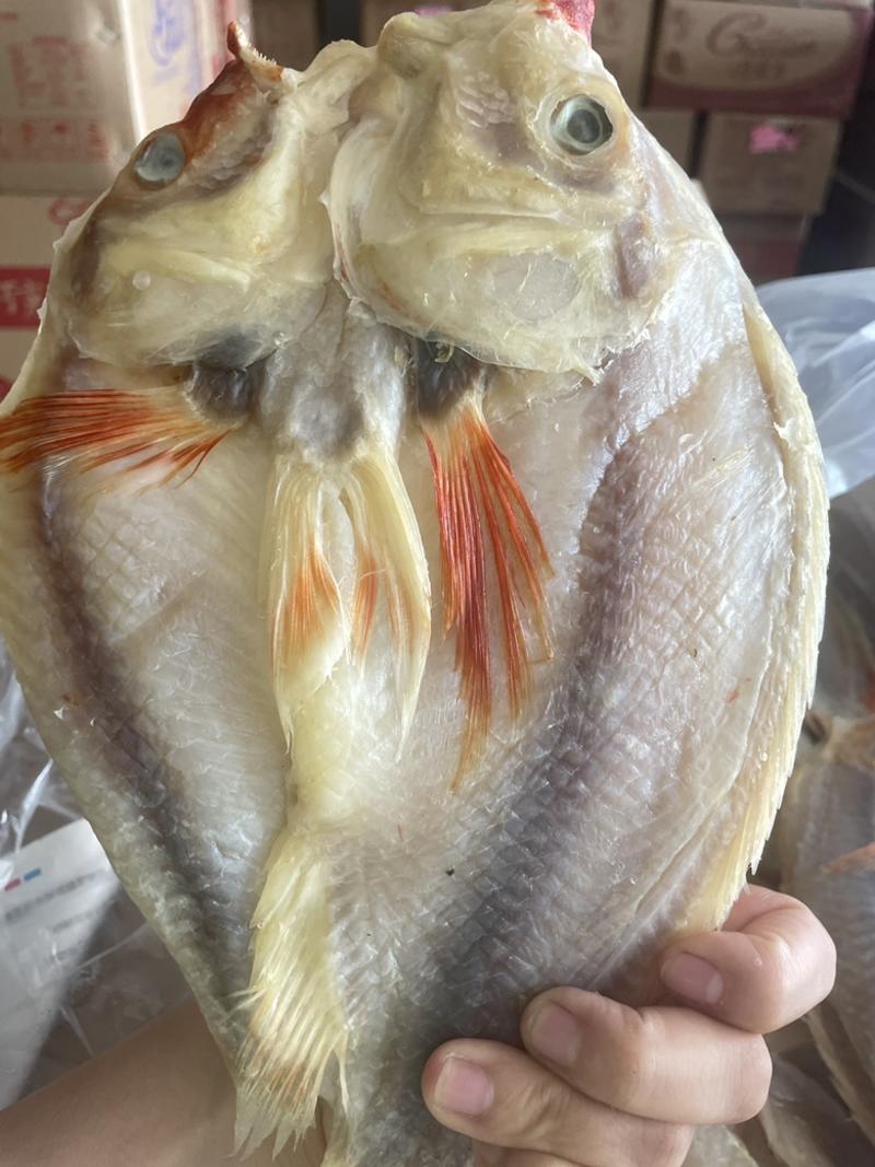 红腊鱼展会地摊电商开边红腊鱼红鱼鲈鱼干鱼片鱼条干
