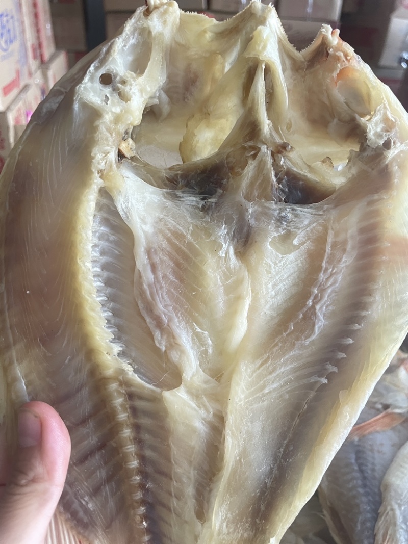 红腊鱼展会地摊电商开边红腊鱼红鱼鲈鱼干鱼片鱼条干