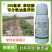 氟草草铵膦奥坤坤火除草剂农药