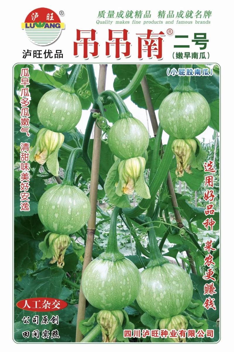 南瓜种子吊吊南二号泸旺小南瓜新品瓜色靓屁股小产量高