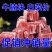 雪花牛肉粒牛腩块新鲜冷冻牛肉块炖牛腩肉商用批发一