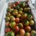 草莓柿子草莓番茄山东基地直供大量现货支持社团市场批量供货