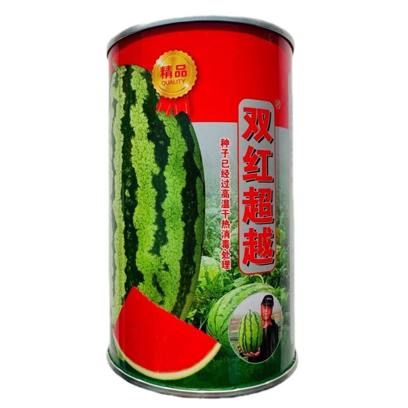 永江双红超越西瓜种子特大号西瓜大红瓤糖度高耐重茬椭圆形西