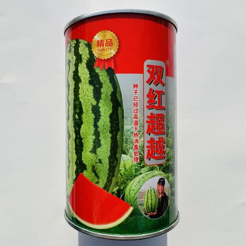 永江双红超越西瓜种子特大号西瓜大红瓤糖度高耐重茬椭圆形西