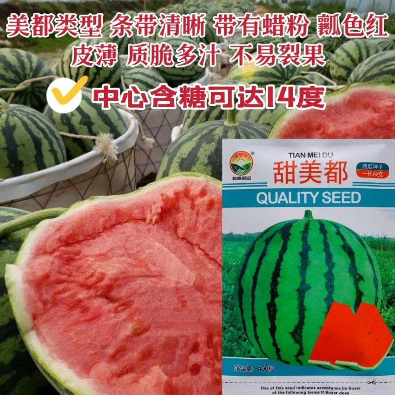 400粒原包装甜美都西瓜种子皮薄耐裂含糖量高有蜡粉特甜西