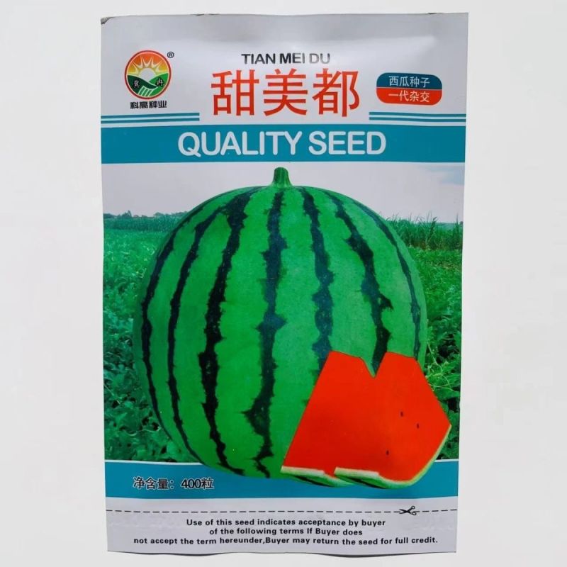 400粒原包装甜美都西瓜种子皮薄耐裂含糖量高有蜡粉特甜西