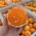 果冻橙九月红脐橙口感纯甜化渣基地果园看货现摘