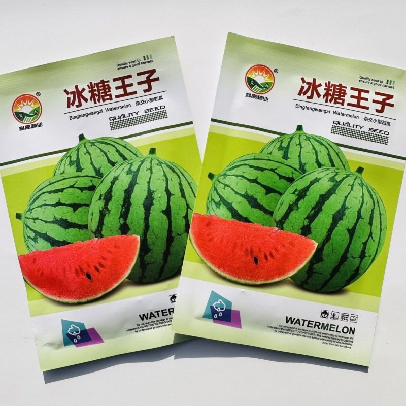 冰糖王子西瓜种子特甜早熟圆形礼品西瓜种子花皮红肉糖度高耐