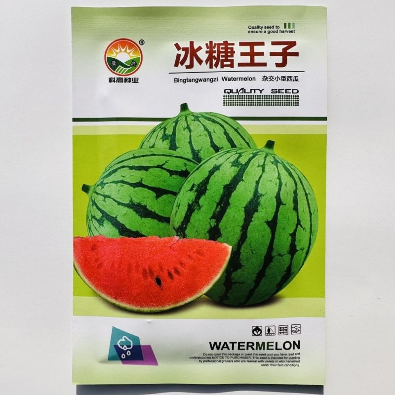 冰糖王子西瓜种子特甜早熟圆形礼品西瓜种子花皮红肉糖度高耐