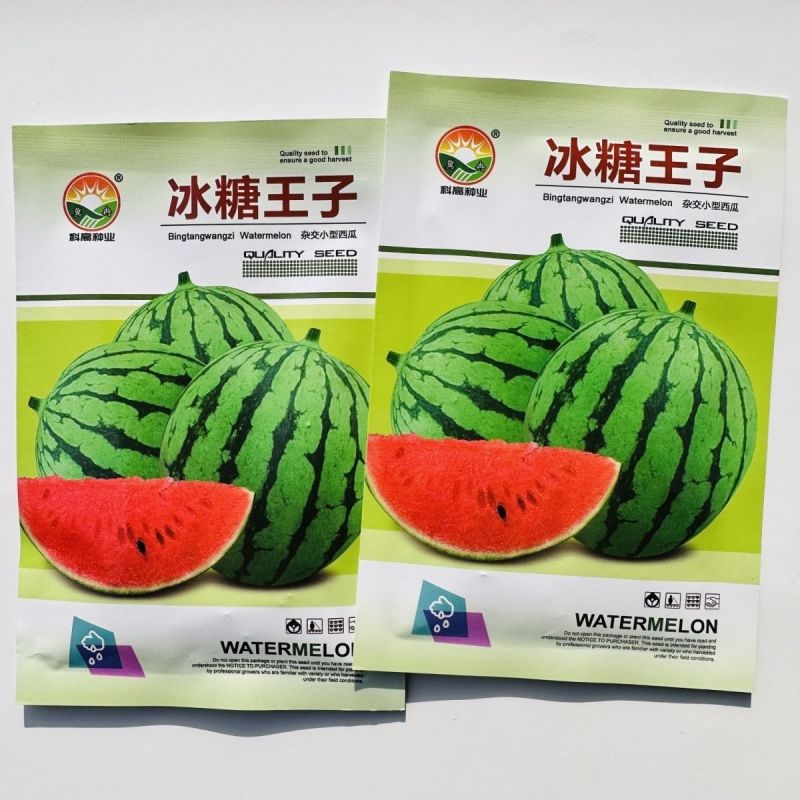冰糖王子西瓜种子特甜早熟圆形礼品西瓜种子花皮红肉糖度高耐