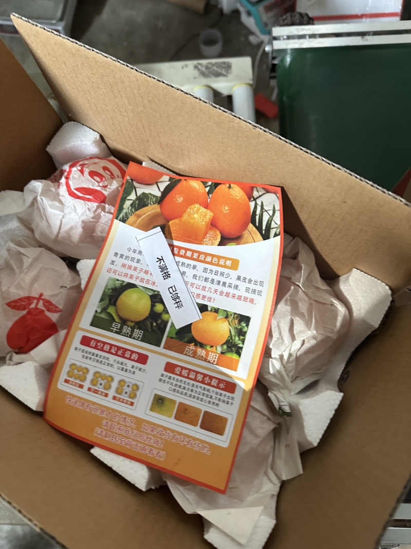 现货四川爱媛果冻橙新鲜橙子一件代发