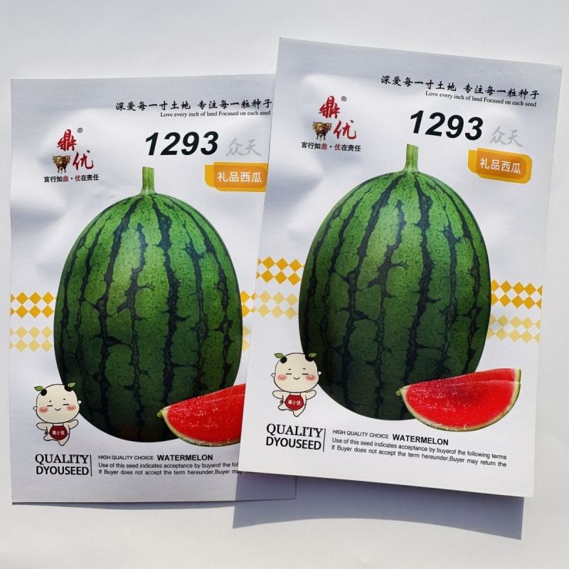 鼎优1293礼品西瓜种子早熟小果型西瓜籽椭圆形果肉红色礼