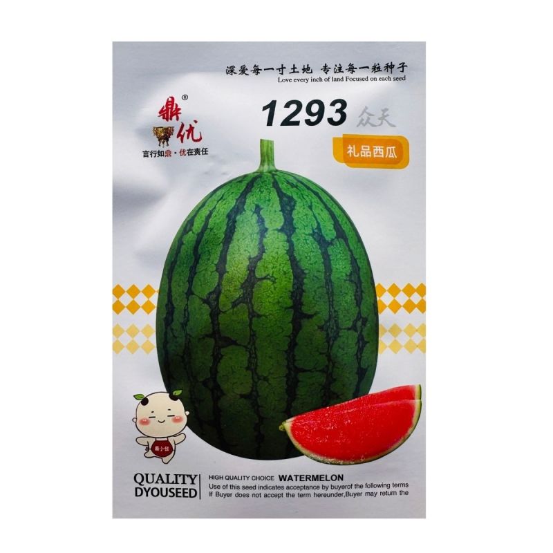 鼎优1293礼品西瓜种子早熟小果型西瓜籽椭圆形果肉红色礼