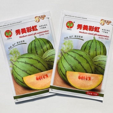 科高秀美彩虹西瓜种子特甜高品质小型礼品西瓜种子新品种抗病