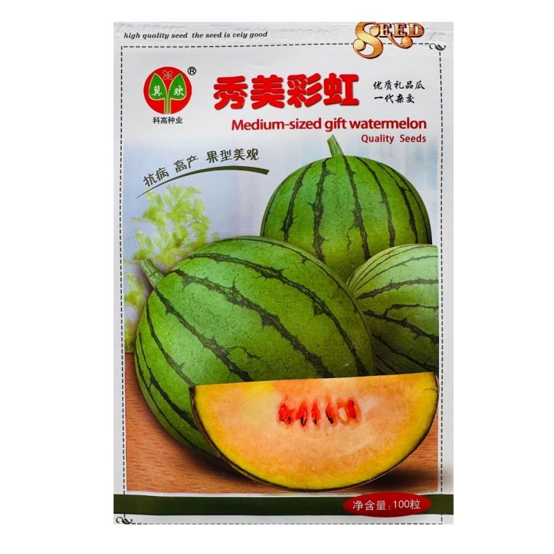 科高秀美彩虹西瓜种子特甜高品质小型礼品西瓜种子新品种抗病
