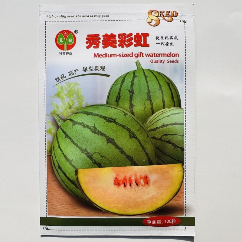 科高秀美彩虹西瓜种子特甜高品质小型礼品西瓜种子新品种抗病