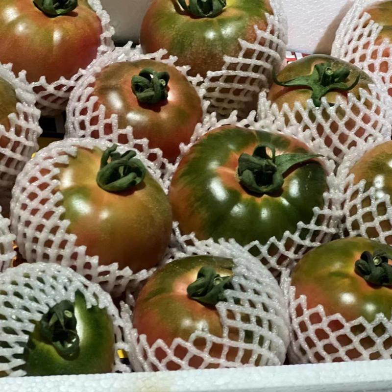 铁皮柿子草莓柿子草莓番茄山东基地大量现货可按需求包装加工