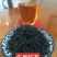 广东乐昌红茶
