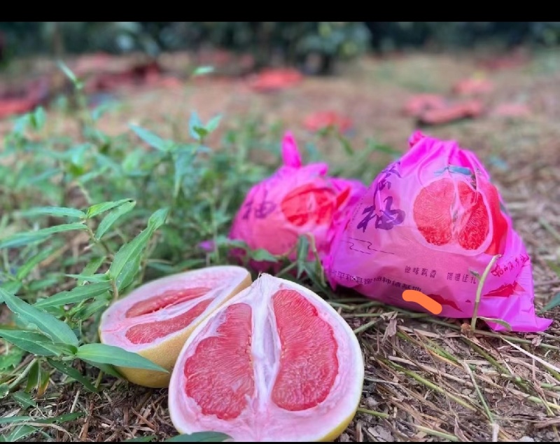 【实力】柚子-葡萄柚红心柚-爆汁量大从优-一件代发