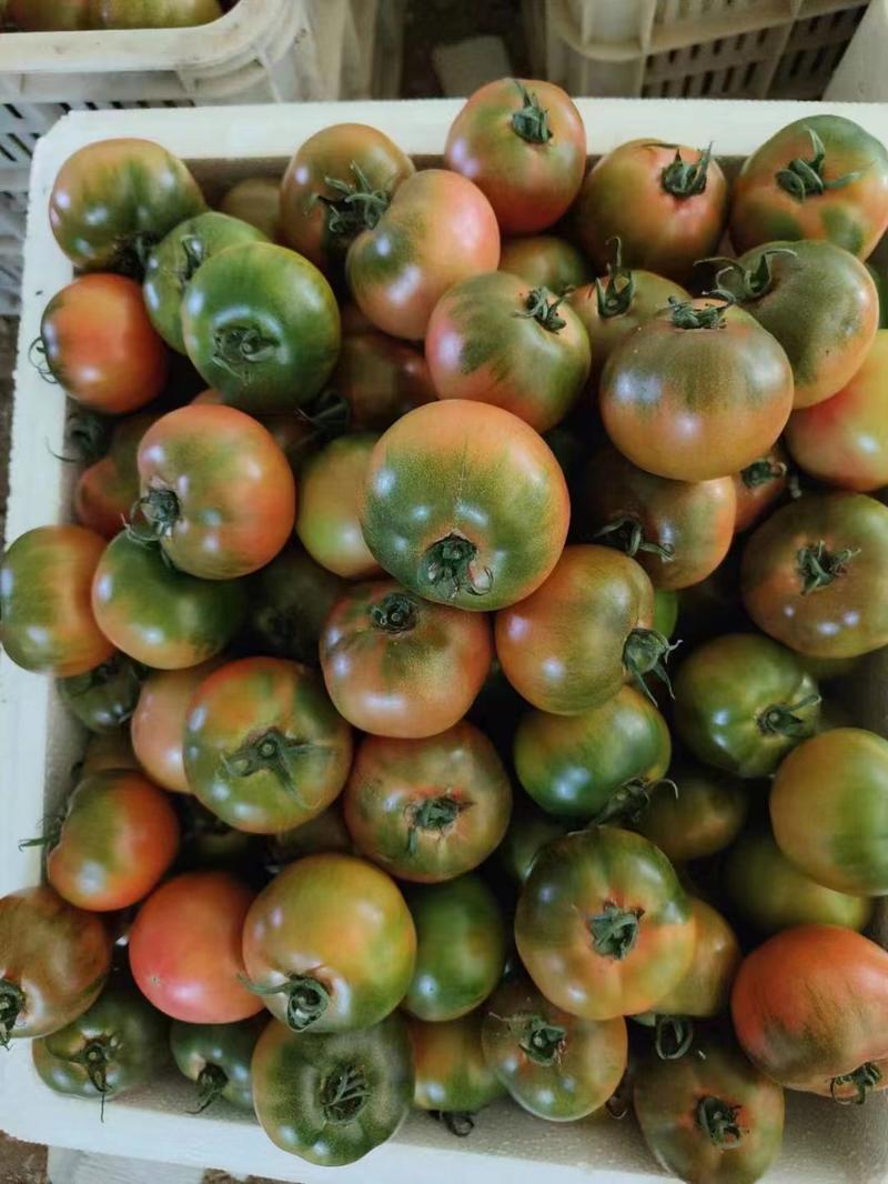 铁皮柿子草莓柿子草莓番茄山东基地大量现货可按需求包装加工
