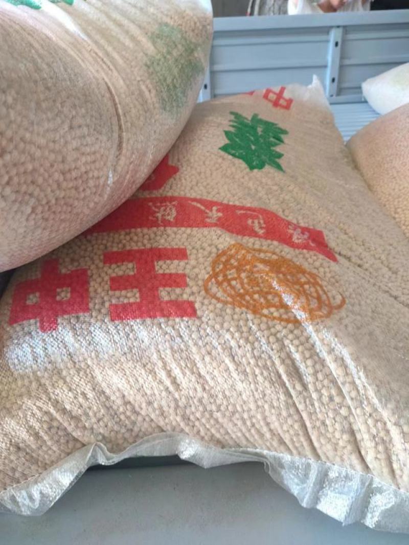 纯东北的笨炸豆油