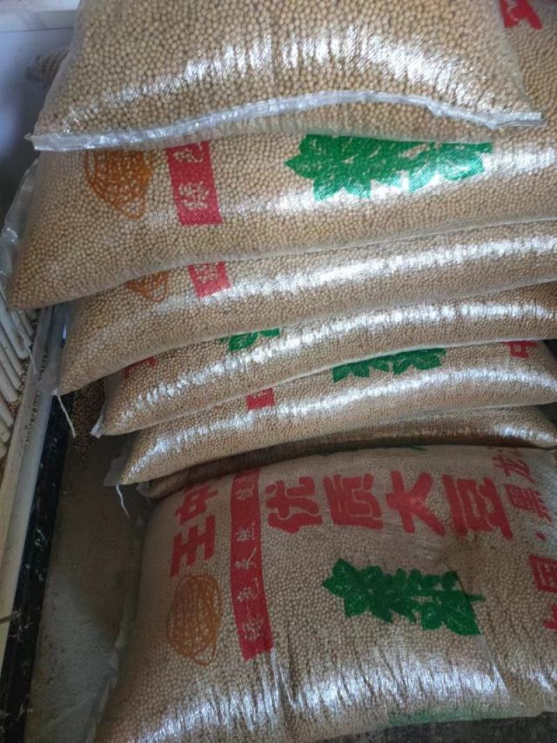 纯东北的笨炸豆油