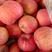 白水红富士苹果正在出库中，个大色红，糖度高皮薄，香脆甜。