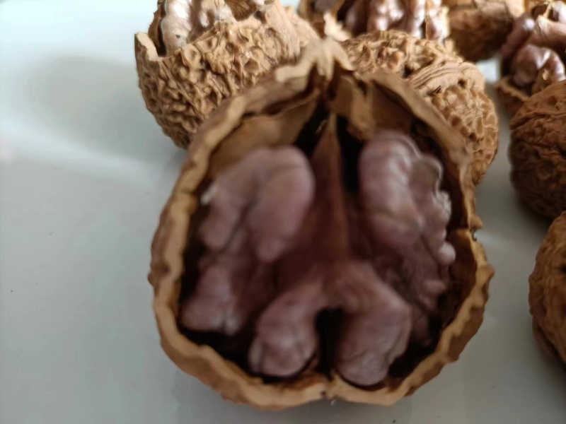 云南紫皮核桃，承接一件代发，社区团购，大量供货中…