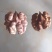 云南紫皮核桃，承接一件代发，社区团购，大量供货中…