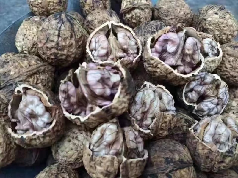 云南紫皮核桃，承接一件代发，社区团购，大量供货中…