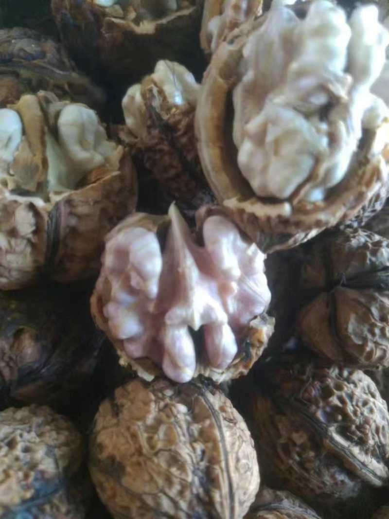 云南紫皮核桃，承接一件代发，社区团购，大量供货中…