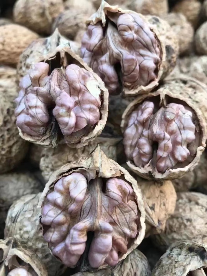 云南紫皮核桃，承接一件代发，社区团购，大量供货中…
